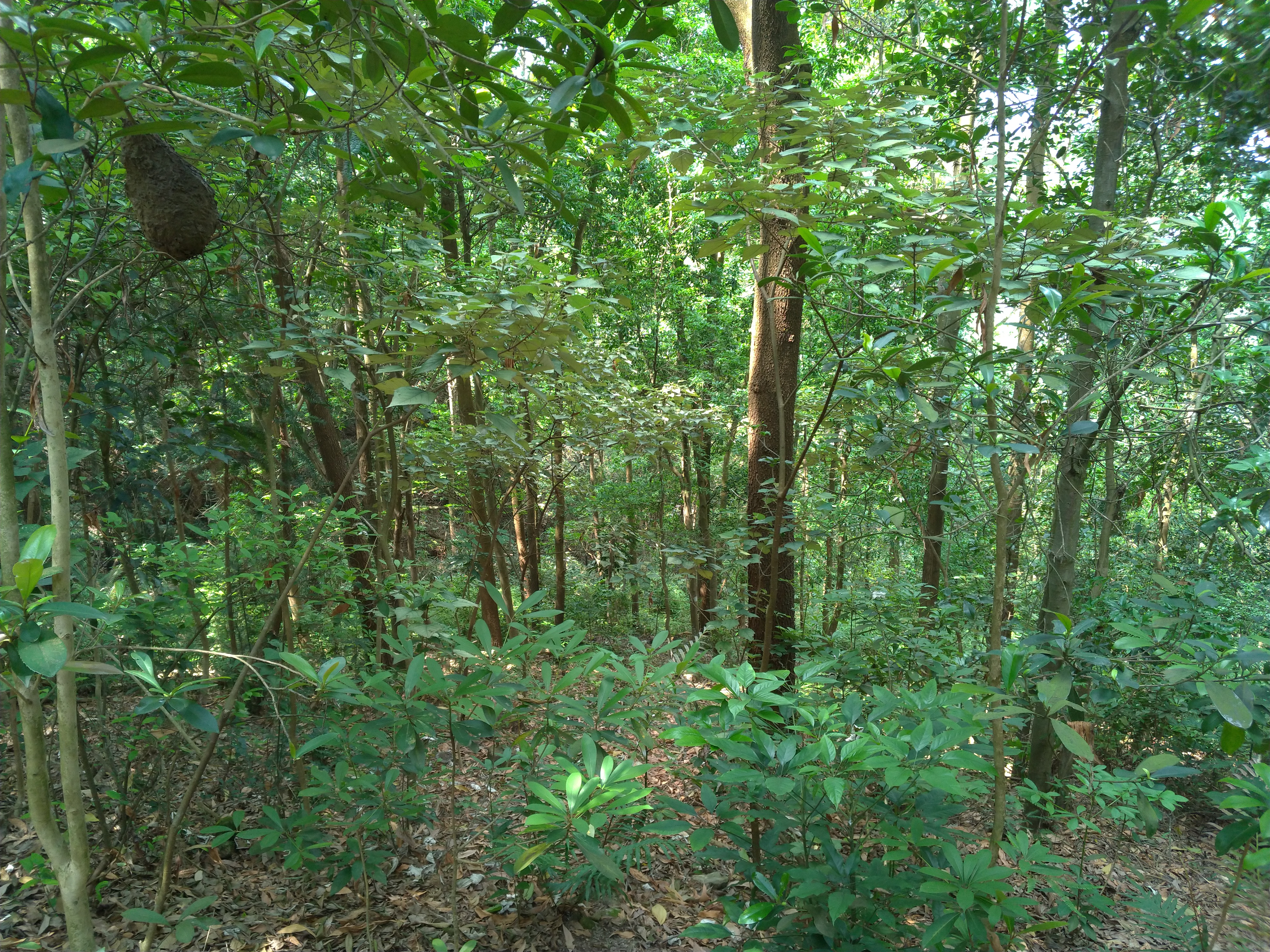 TGE Site 05